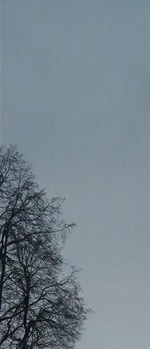 Ziemas pēcpusdienās nākot no meža ceļiem ar slēpēm